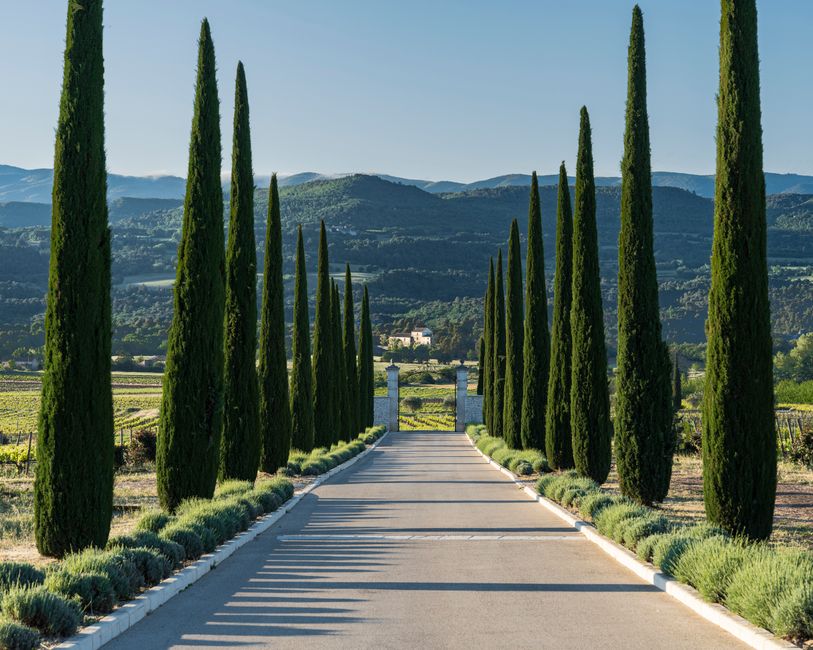 Provence : bastides et hôtels de caractère
